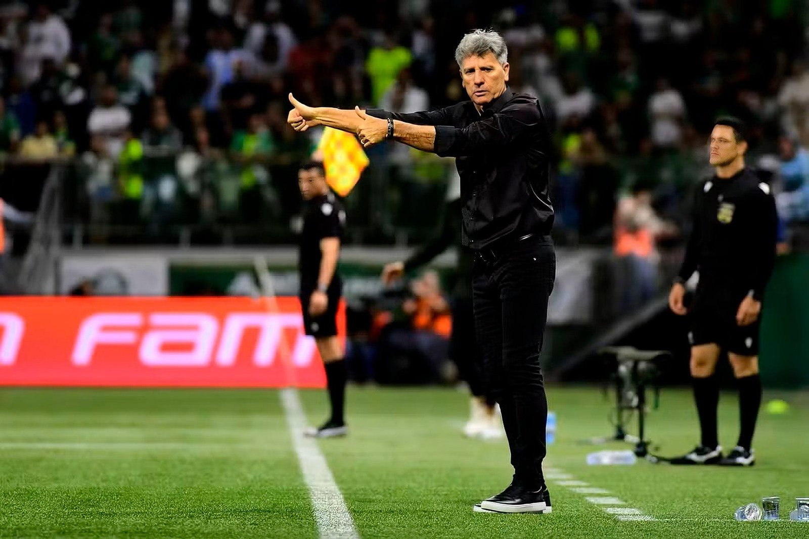 RenatoGauchoemcampo Brasileirão Série A
