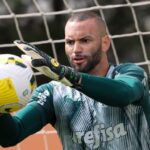 Goleiro Weverton Palmeiras: segurança garantida na rodada 7