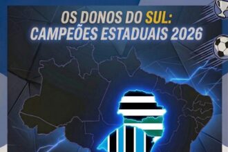 campeões estaduais do sul