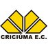 criciuma Copa do Brasil